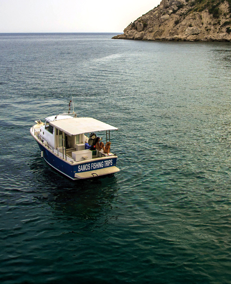 This image for Image Layouts addon